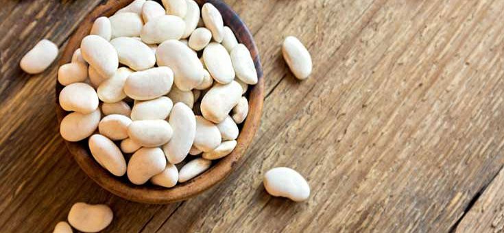 Haricot Beans