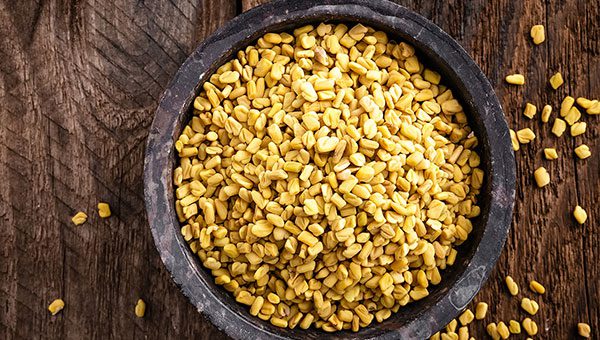 Fenugreek