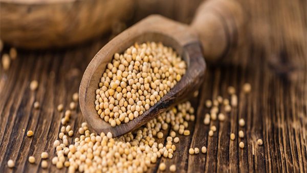 Mustard Seed