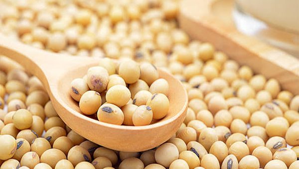 Soybeans
