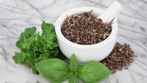 Basil