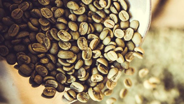 Green Coffee