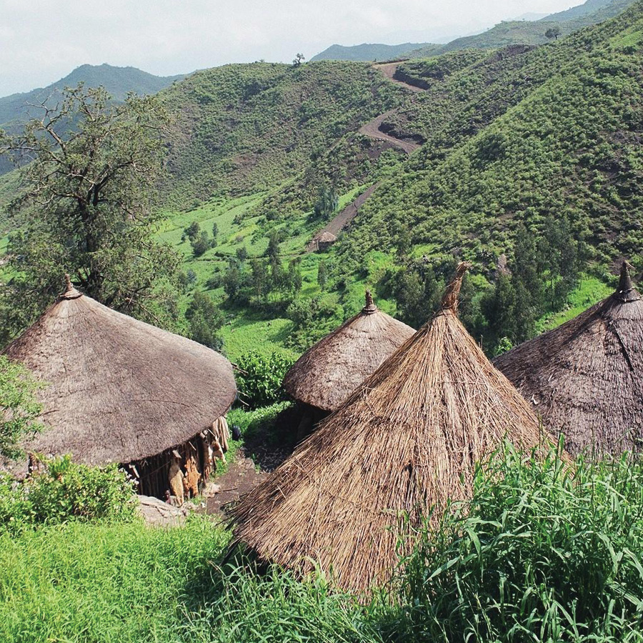 Ethiopia country. Эфиопия ландшафт. Эфиопия Джимма. Назрет Эфиопия. Климат Эфиопии.